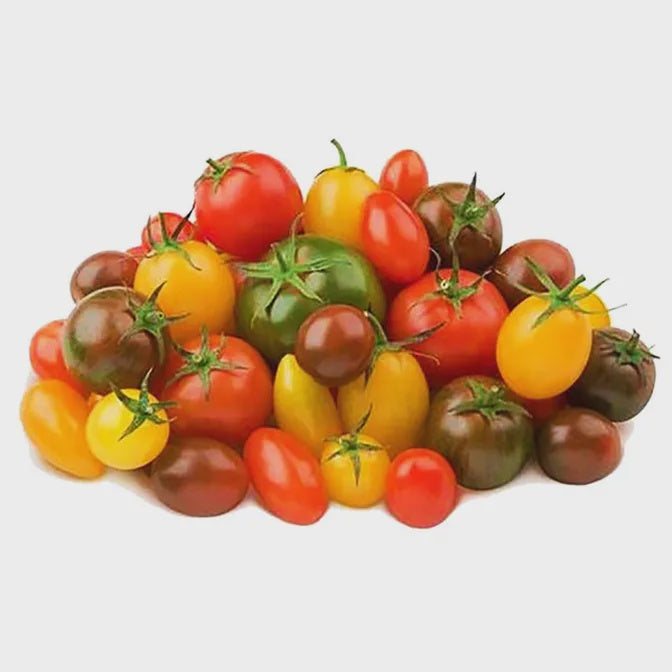 Heirloom Medley Cherry Tomatoes, ORGANIC, 1 pint
