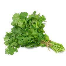 Fresh Cilantro, bunch