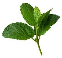California Mint, 0.66oz